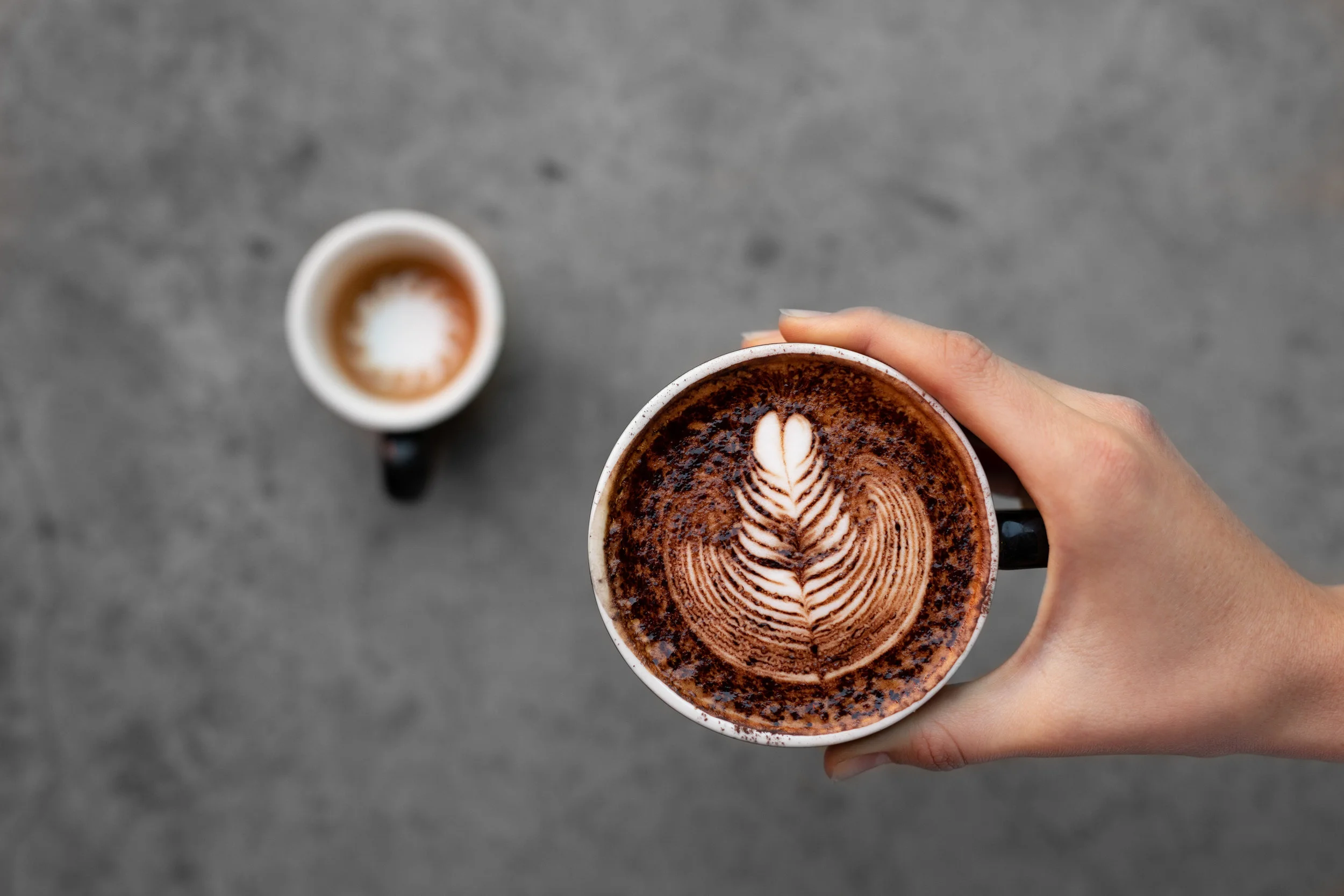 Sunshine Coast Coffee Roastery-85.jpg