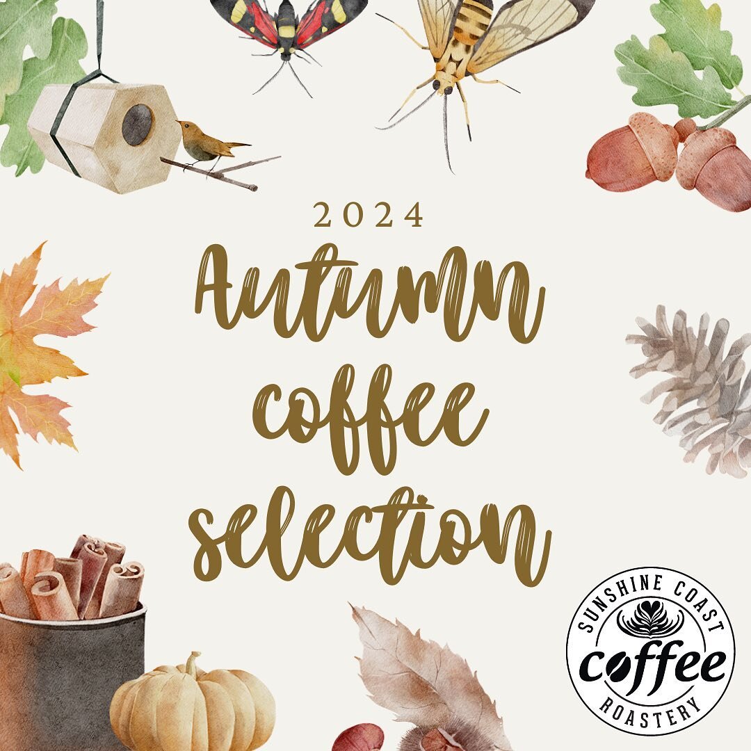 Autumn is here and so are these beans ✨ get it while it&rsquo;s hot 🔥 

#season #seasonal #seasonalcoffee #singleorigin #singleorigincoffee #coffee #caffeine #caffeineaddict #autumn #barista #baristadaily #autumncoffee