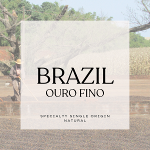 Brazil.png