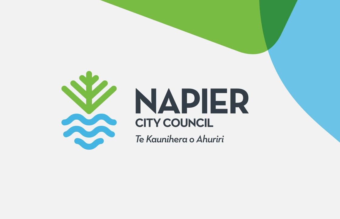 napiercouncil.jpg