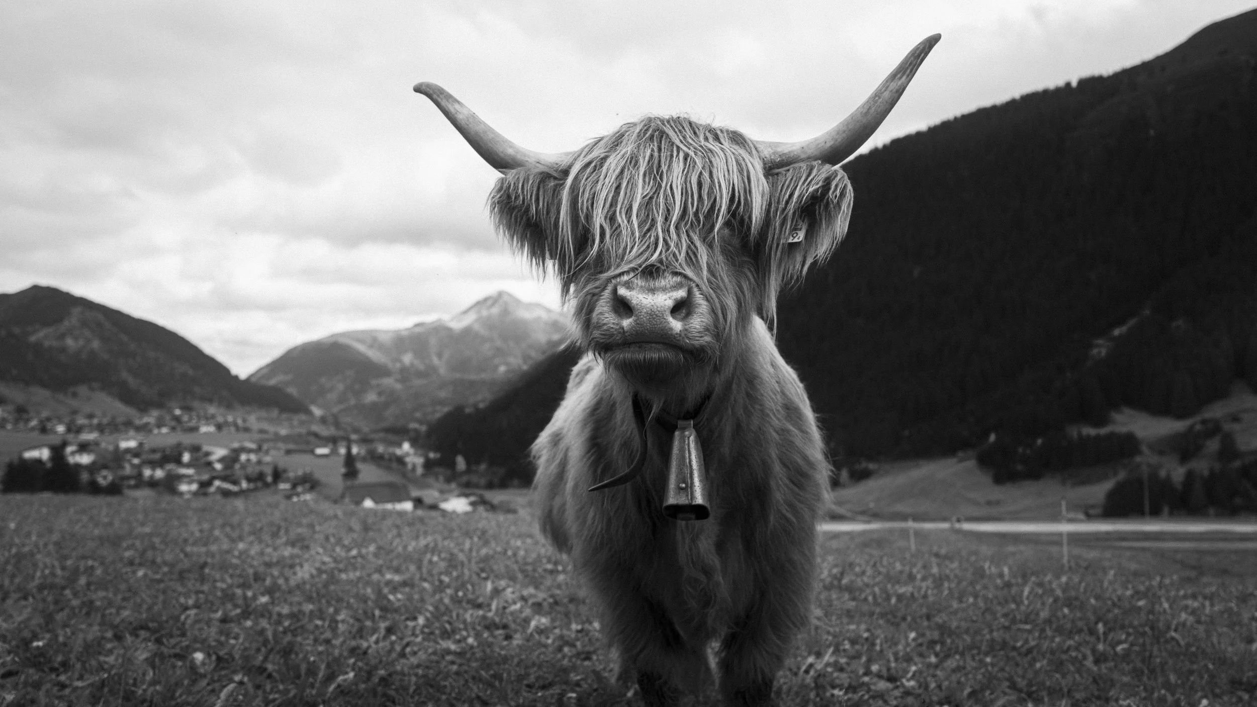 Swiss Stack 1-5.jpg