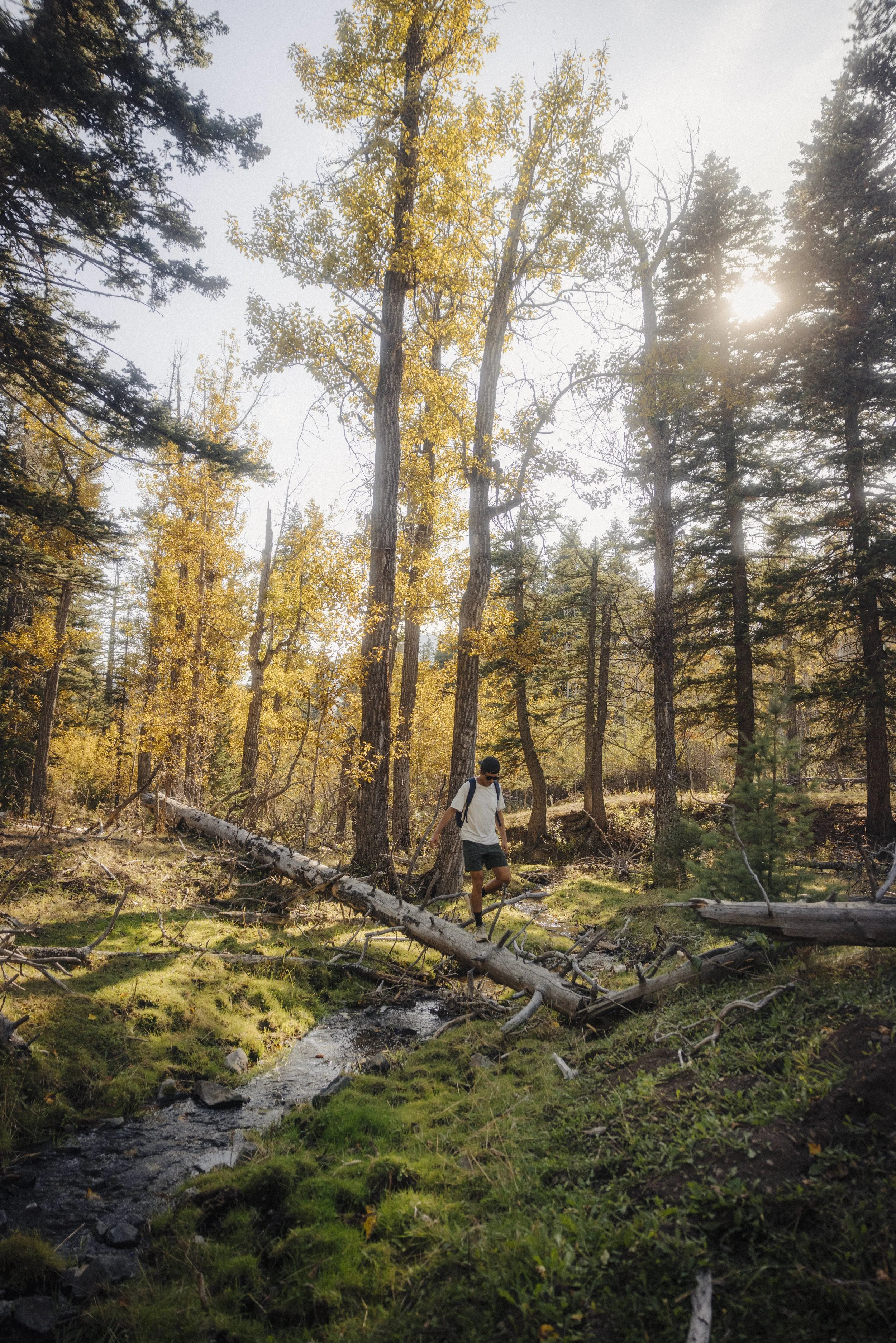 CentralMontana_JustinKauffman_Highwoods_3.jpg