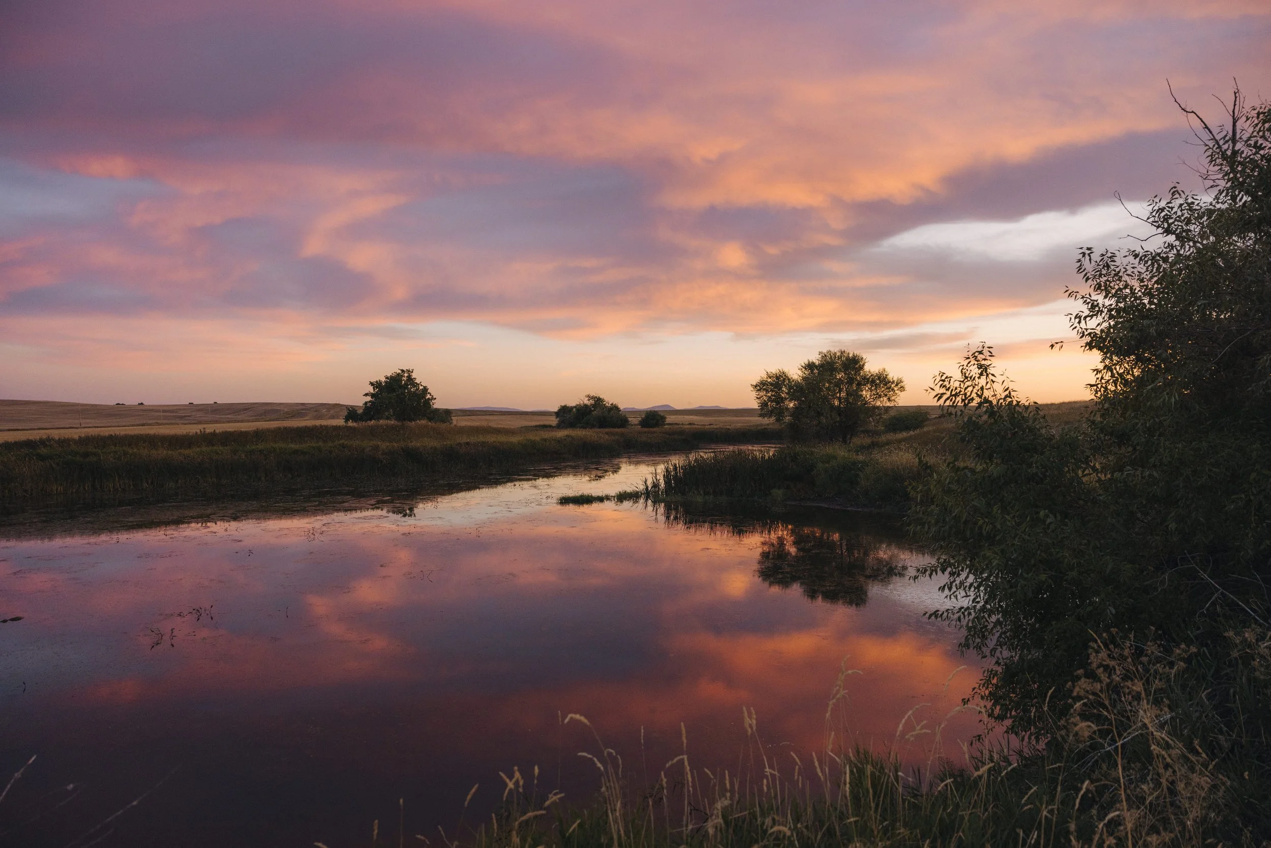 CentralMontana_JustinKauffman_Fife_3.jpg