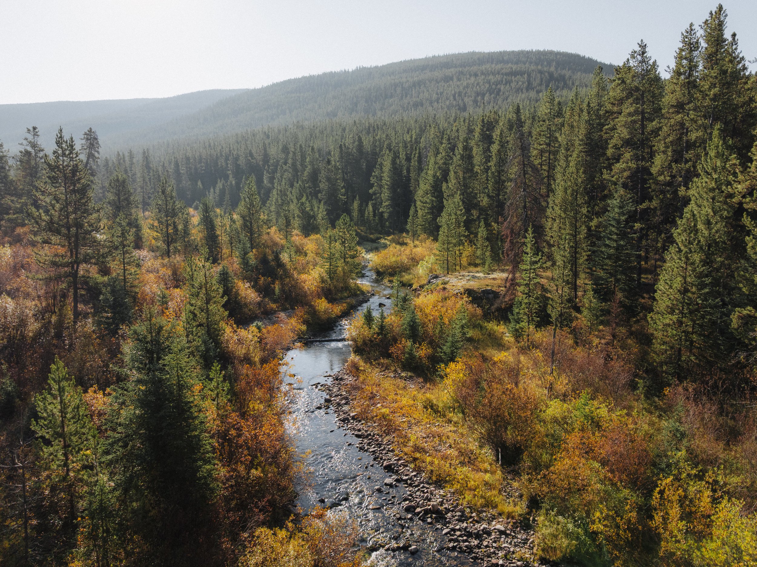 CentralMontana_JustinKauffman_Neihart_1.jpg