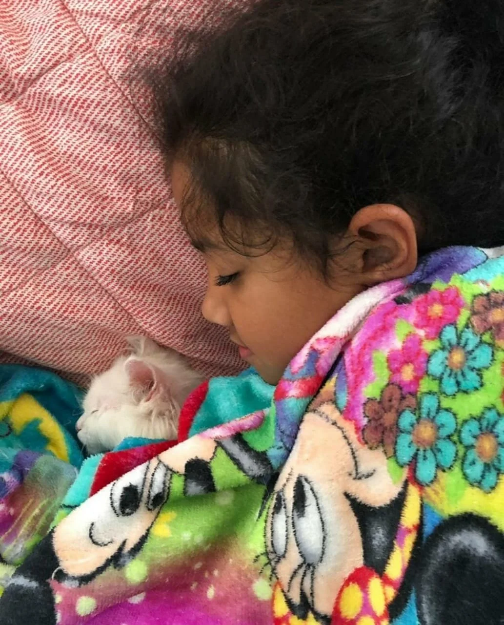 WhatsApp Image 2019-12-02 at 15.52.50.jpeg