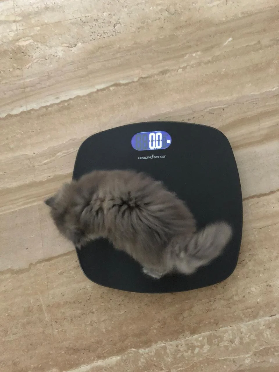 WhatsApp Image 2020-03-03 at 07.06.17.jpeg