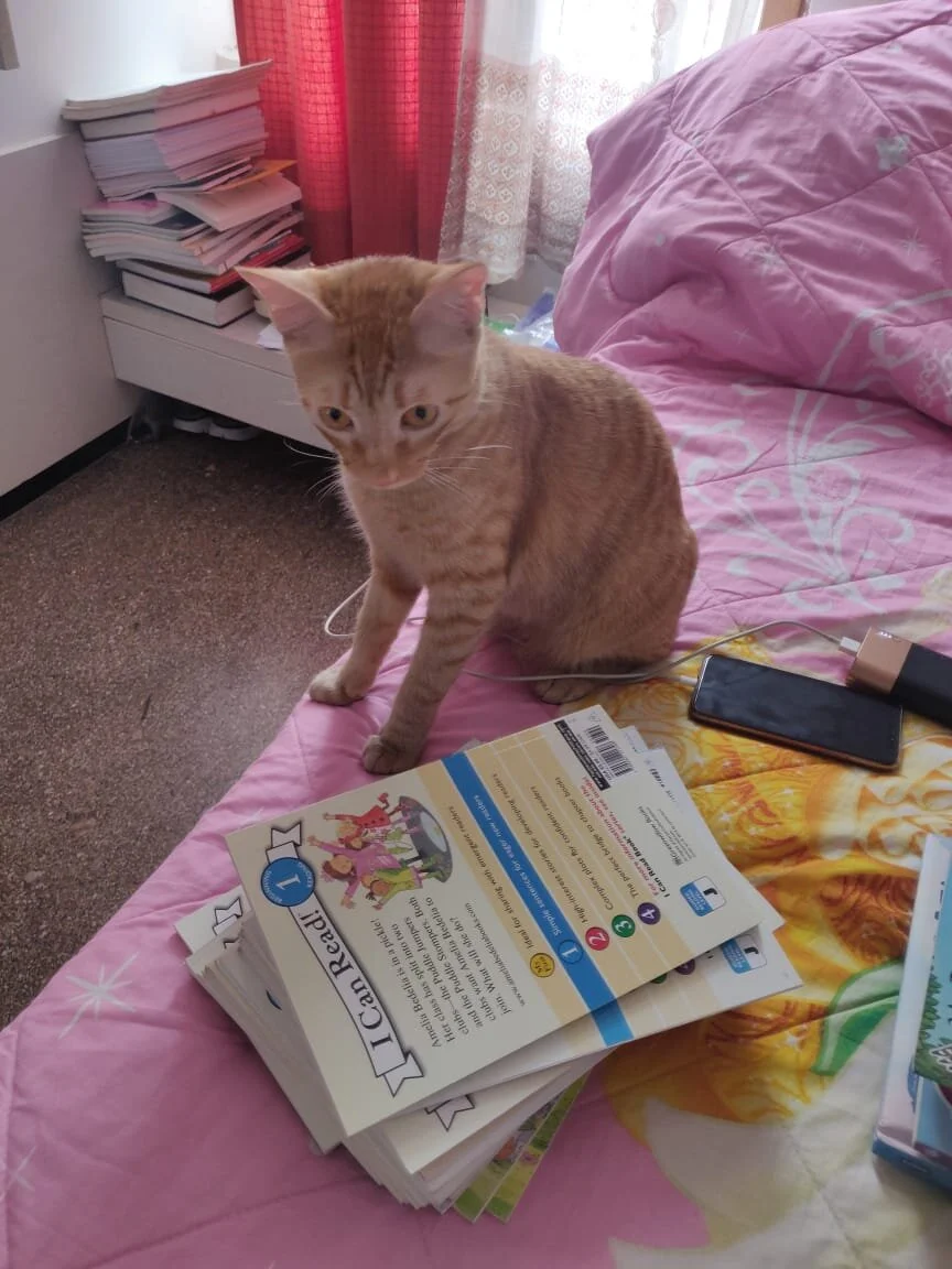 WhatsApp Image 2020-02-15 at 12.32.39.jpeg