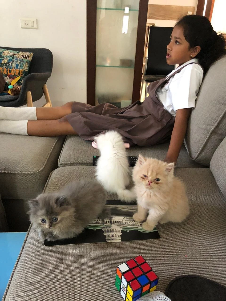 WhatsApp Image 2020-03-03 at 11.51.28.jpeg