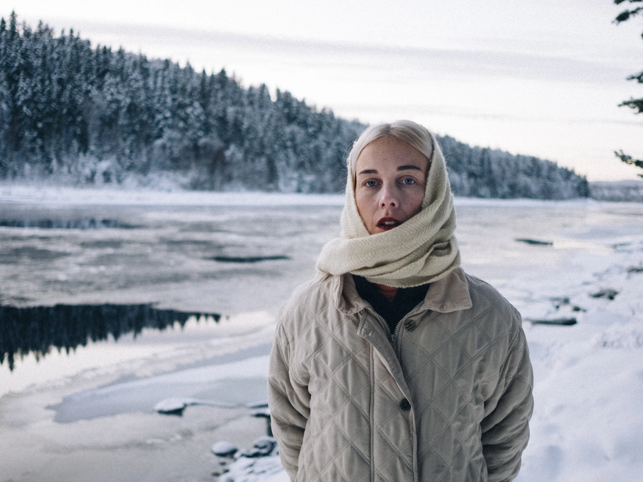 Lins Högström / Skator