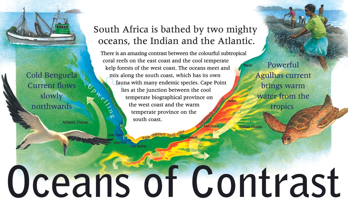 (Oceans of Contract): The South African coastline is bathed by mighty oceans (Image credit: Coastcare Fact Sheet Series produced by the former Department of Environmental Affairs and Tourism, 2006. Used with permission).