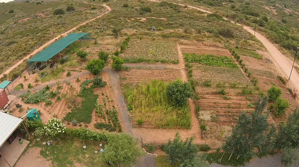 FoodSecurityandBonnievalePeople'sProject.jpg