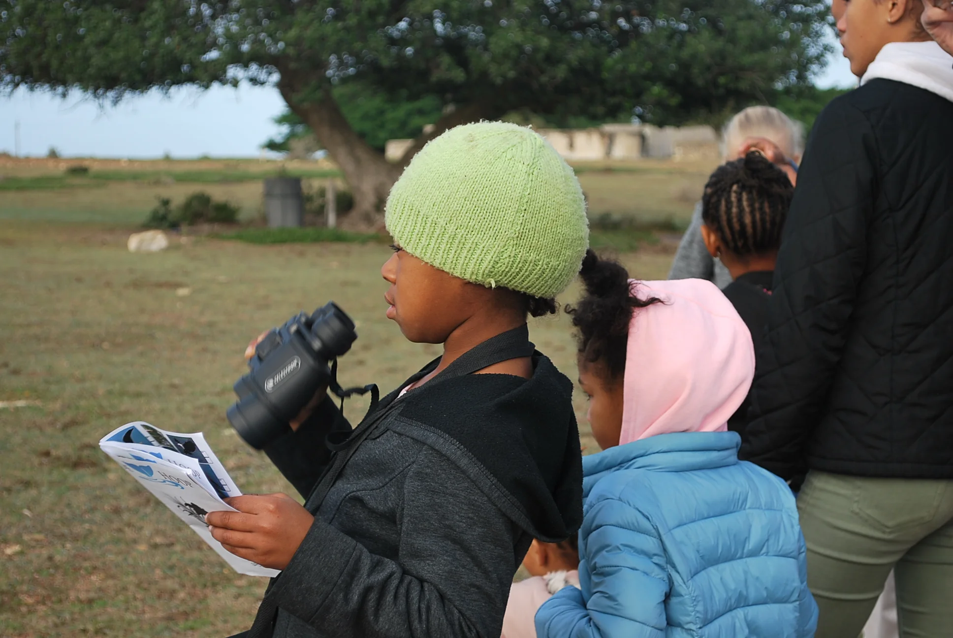 Animal and plant identification