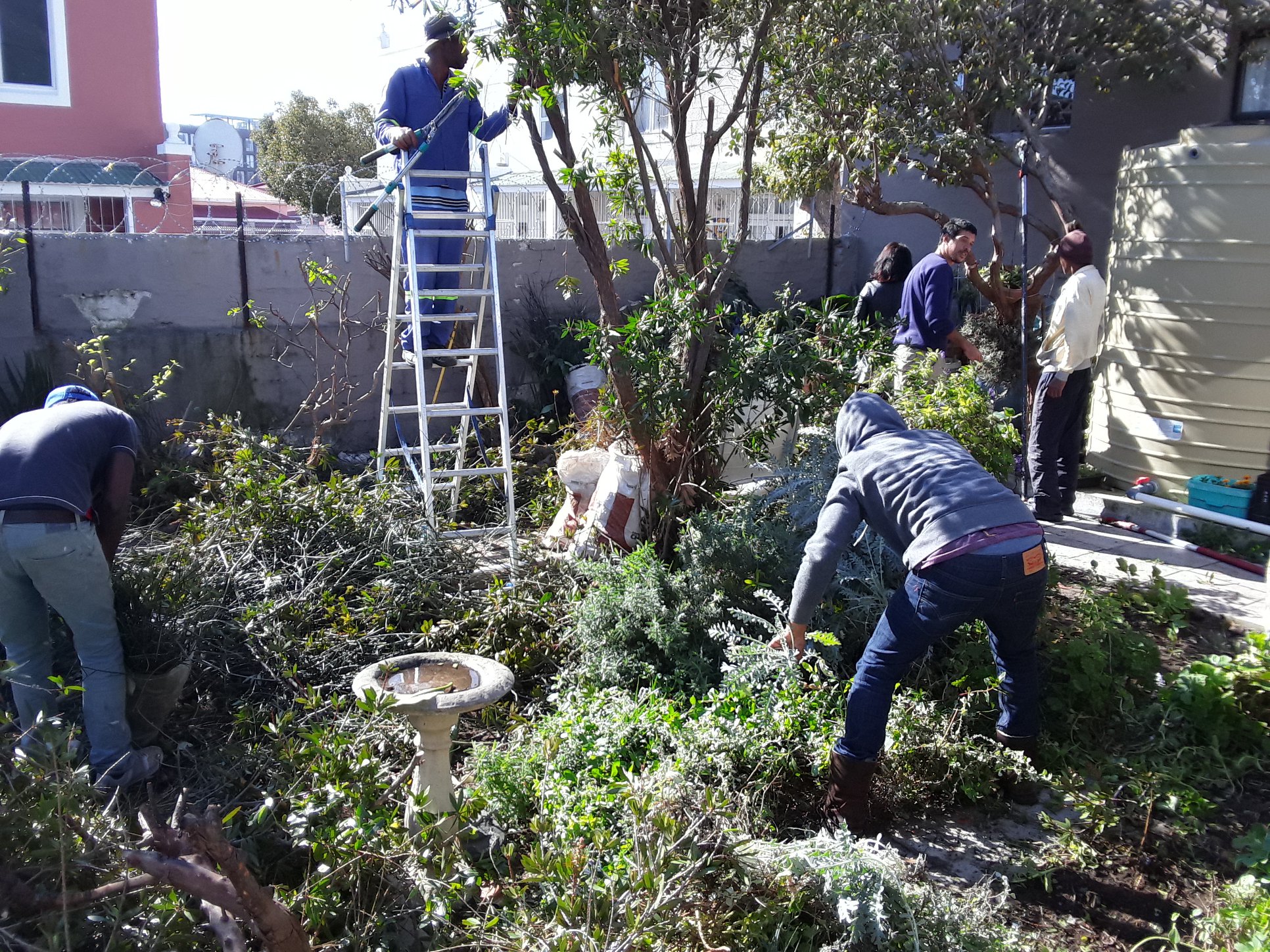 Preparing the garden for Mandela Day