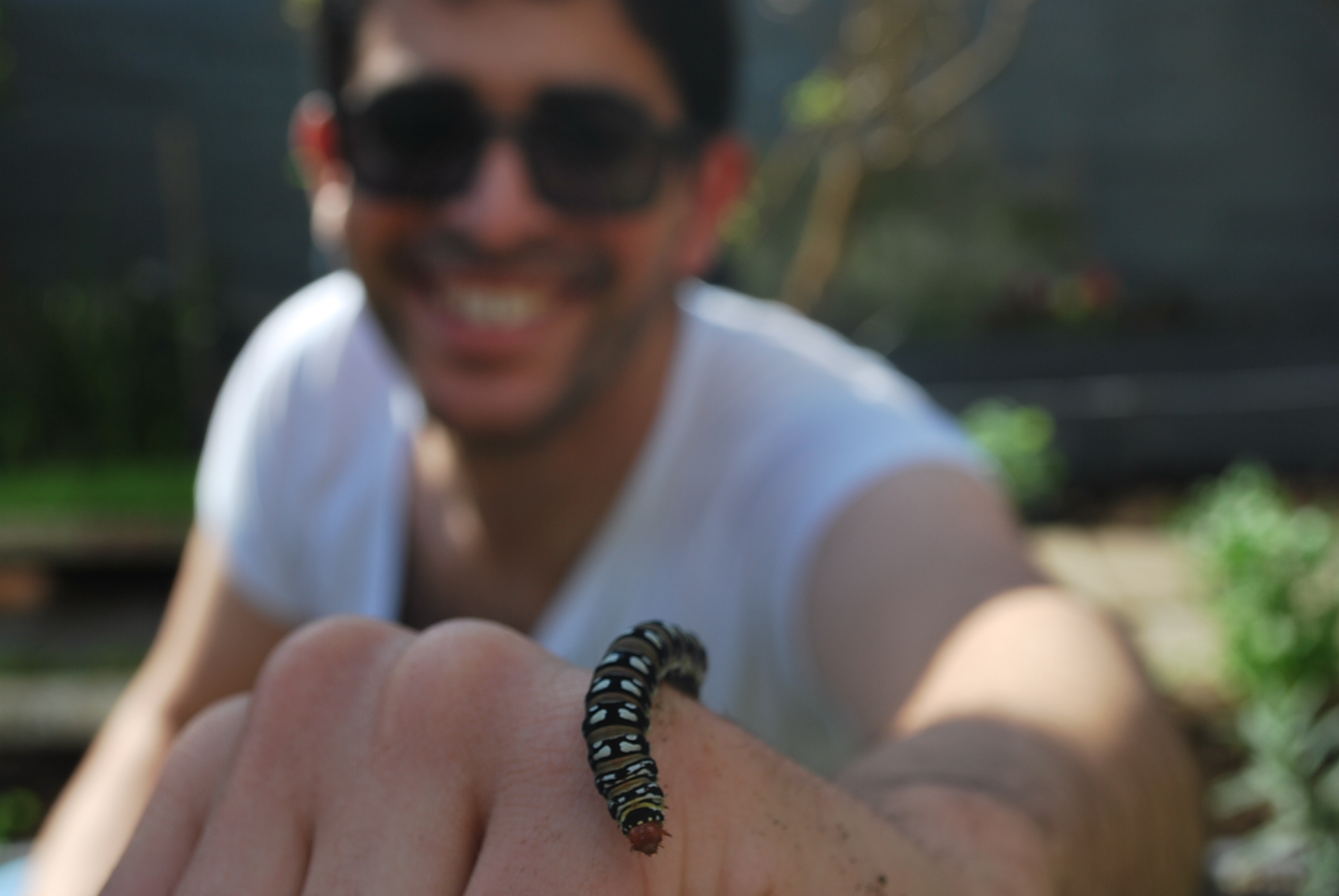 Volunteer finds caterpillar in garden