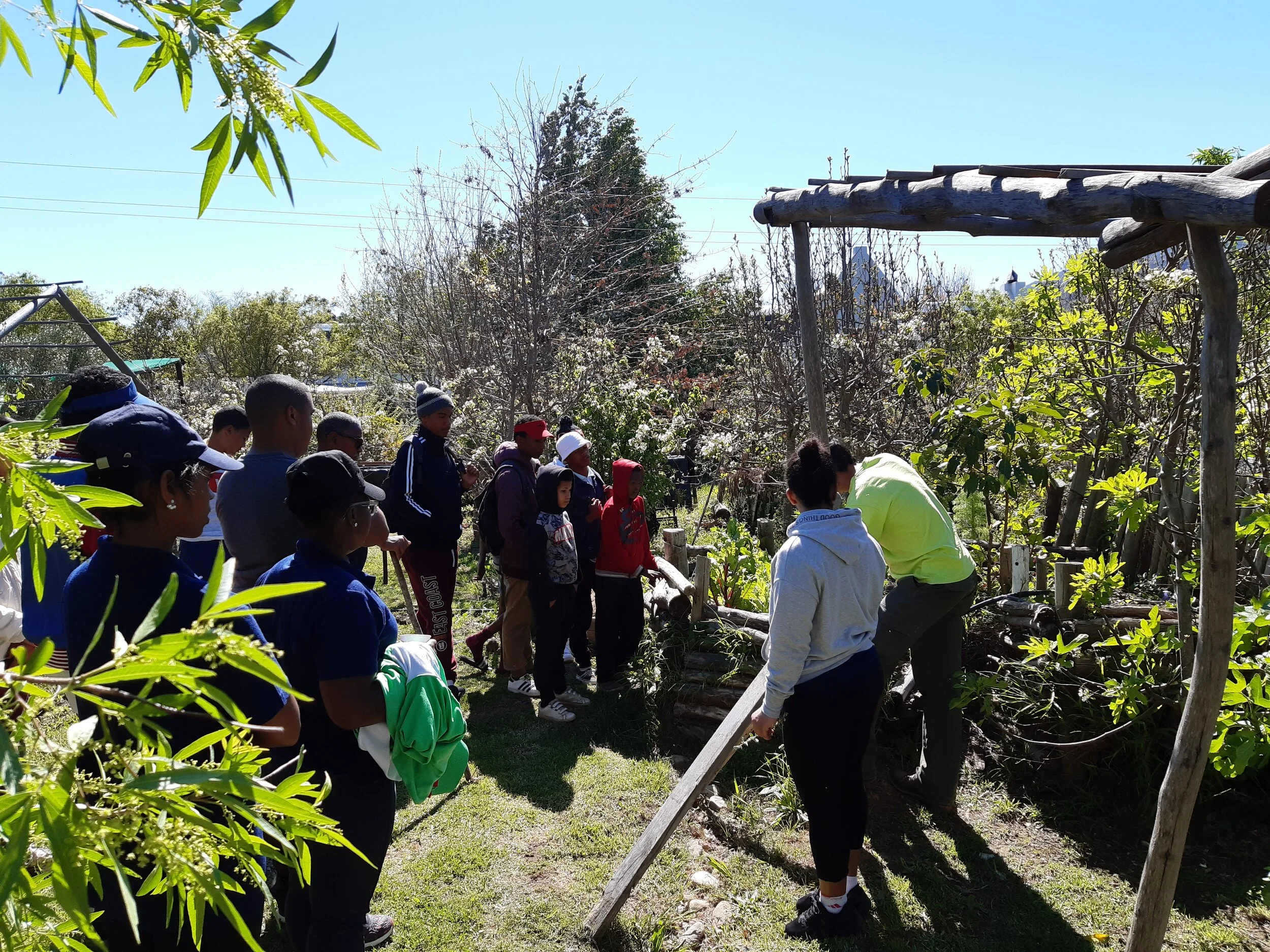 A lesson on food gardens