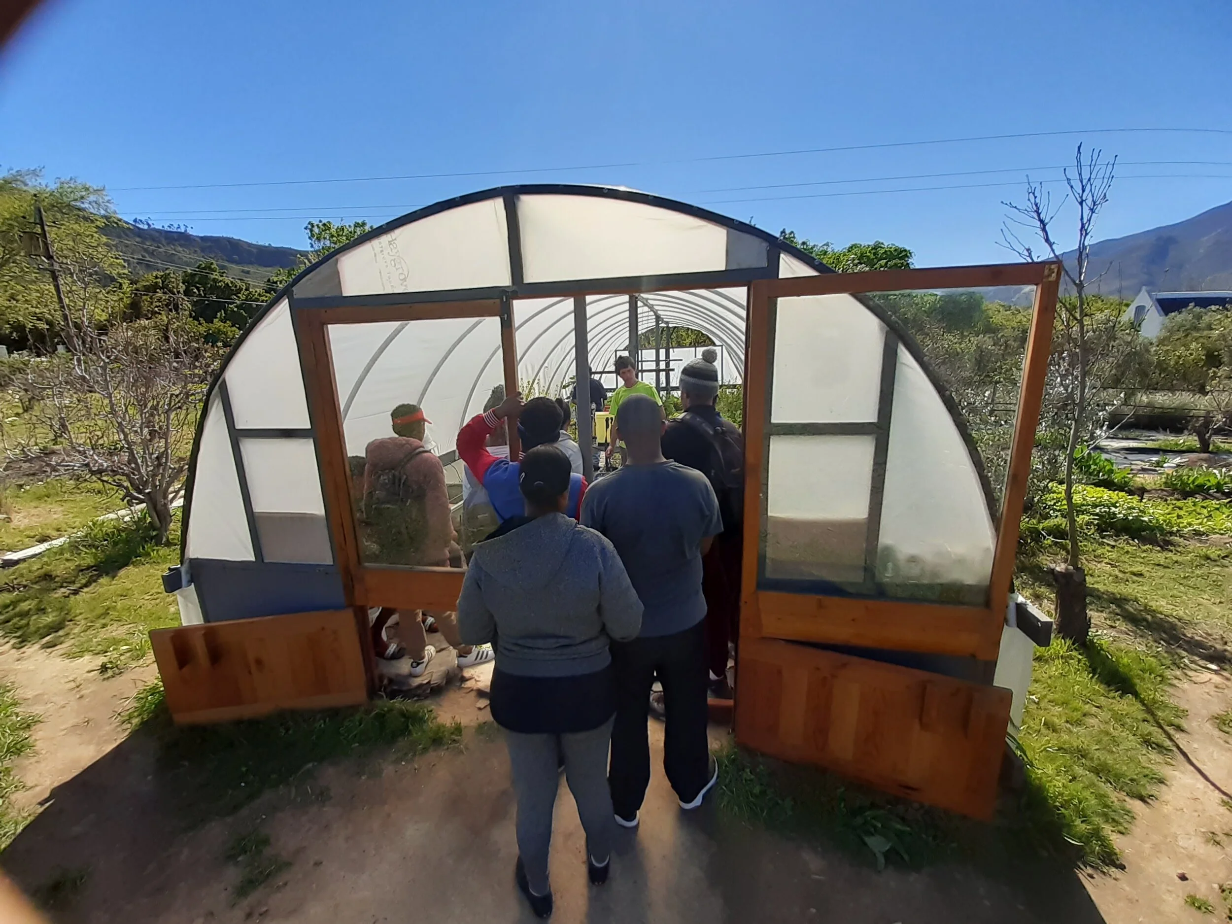 Tour of the green house