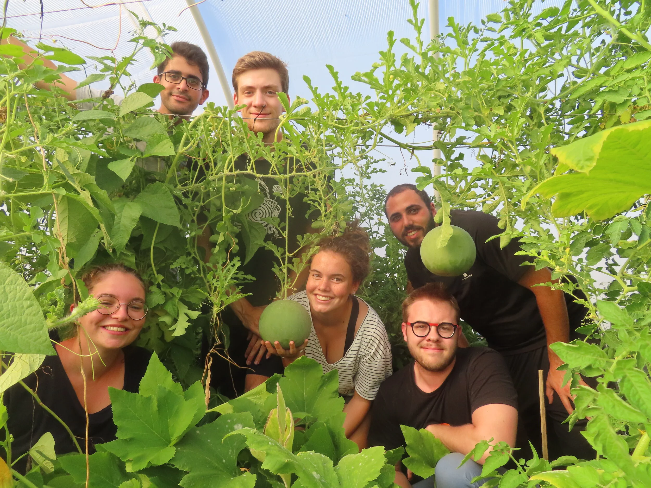 Everything starts within the ground