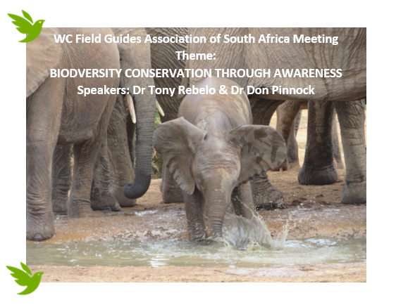 Biodiversity Conservation through Awareness