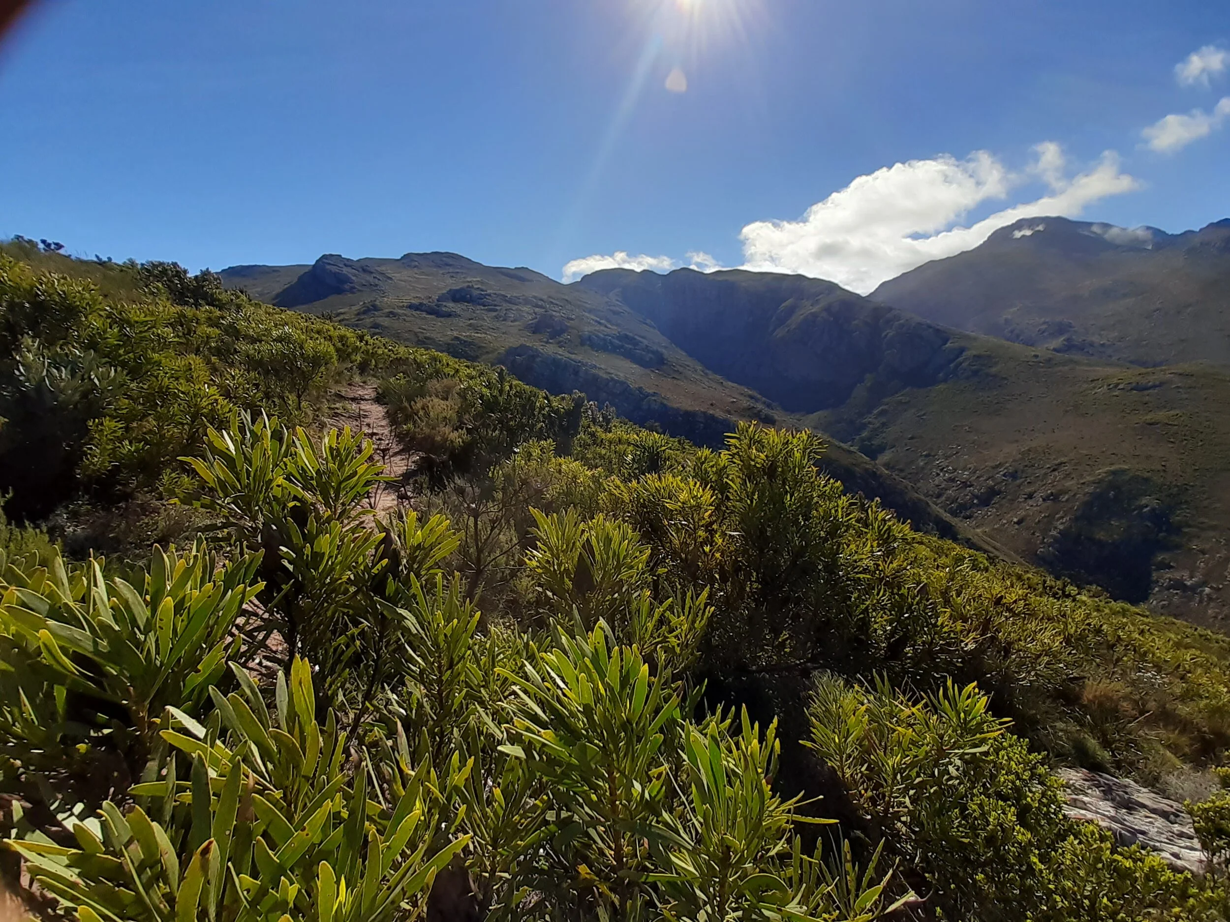 Our Solutions are in Nature