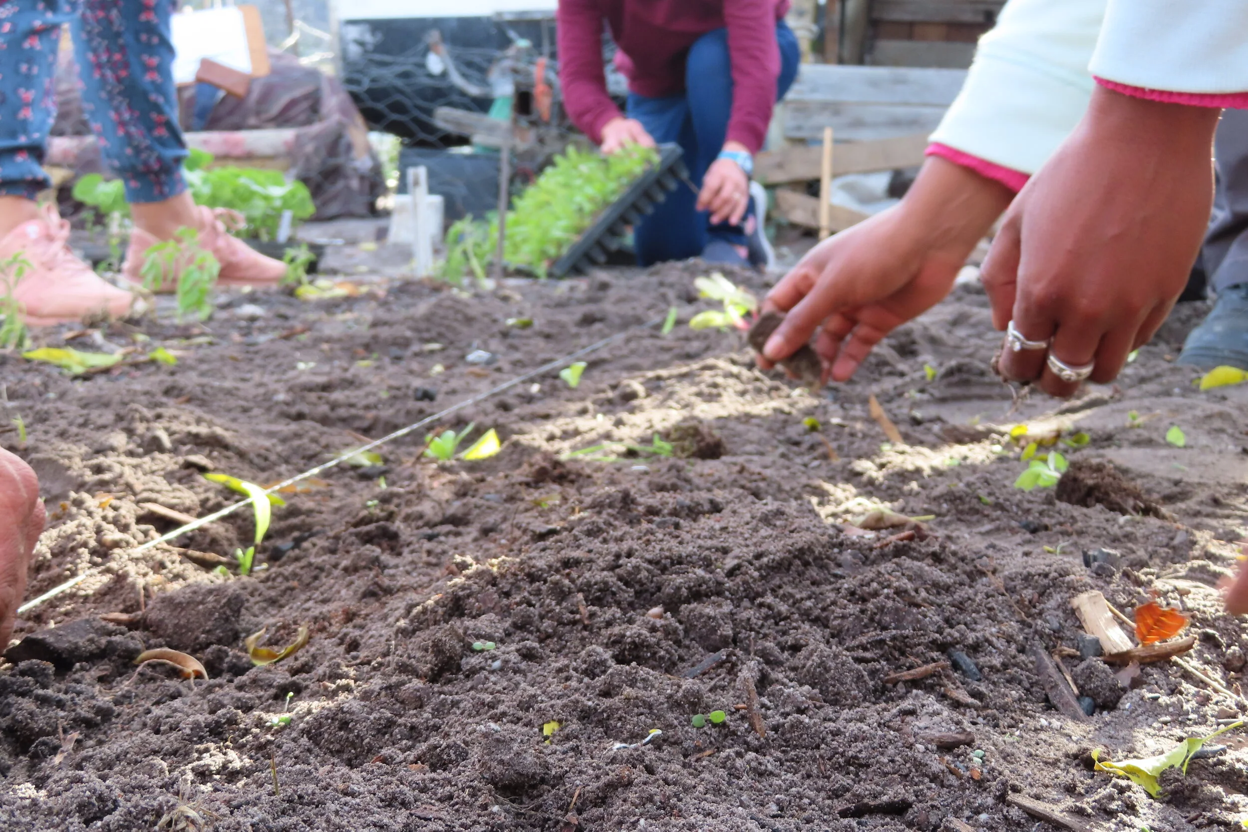 A New Space for Learning