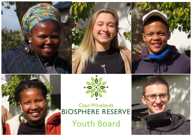 Introducing the CWBR Youth Board