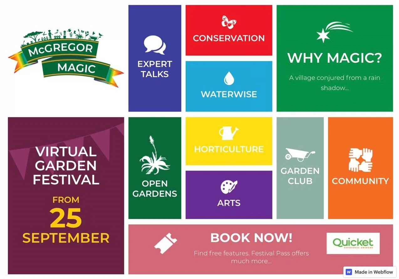 Join In a Virtual Flower Festival