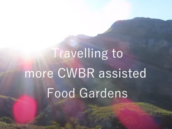 Soil to Seed to Success