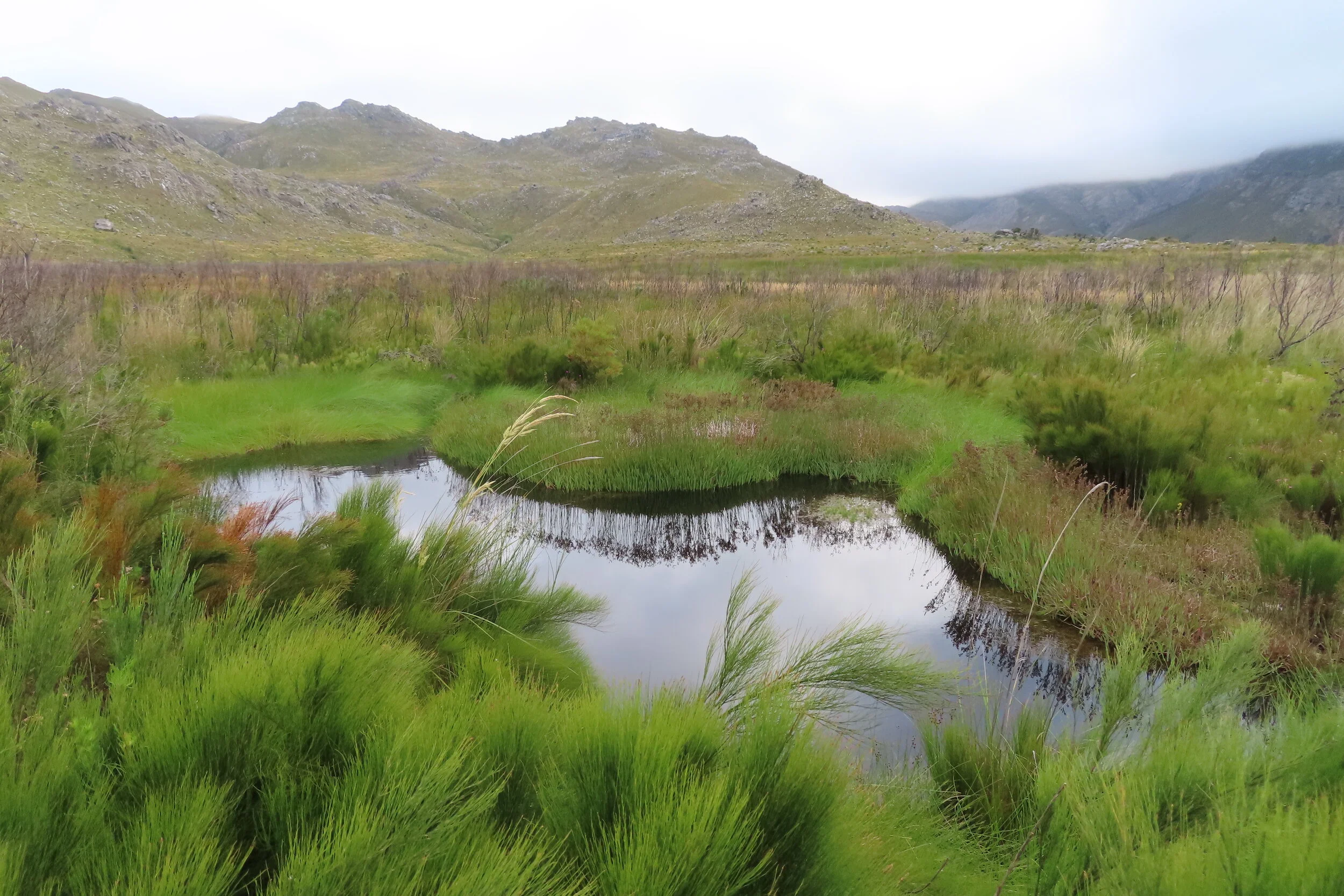 Insights from UNESCO’s Biodiversity Forum 