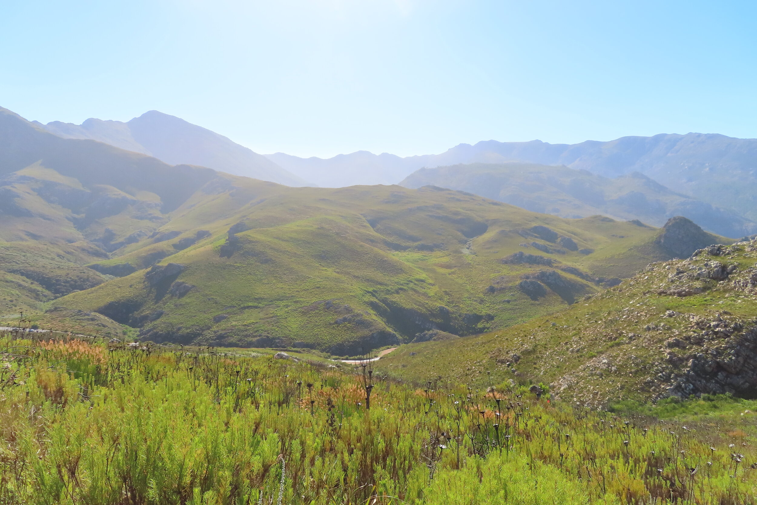 Cape Floral Region, Boland Mountains