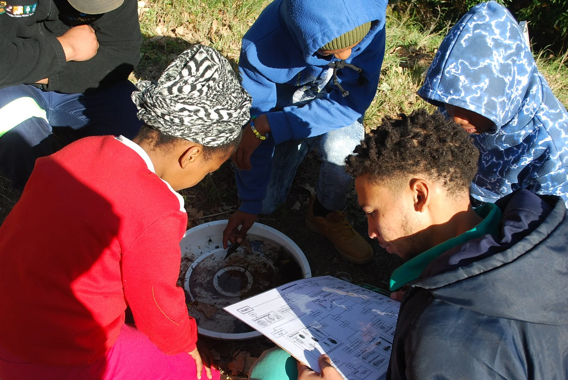 How healthy is the river?