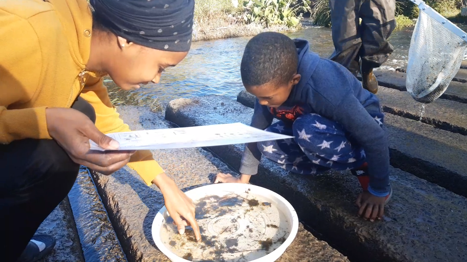 Being a Citizen Scientist