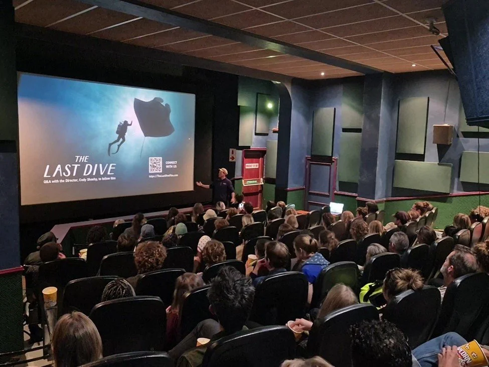 First Screening in SA: The Last Dive