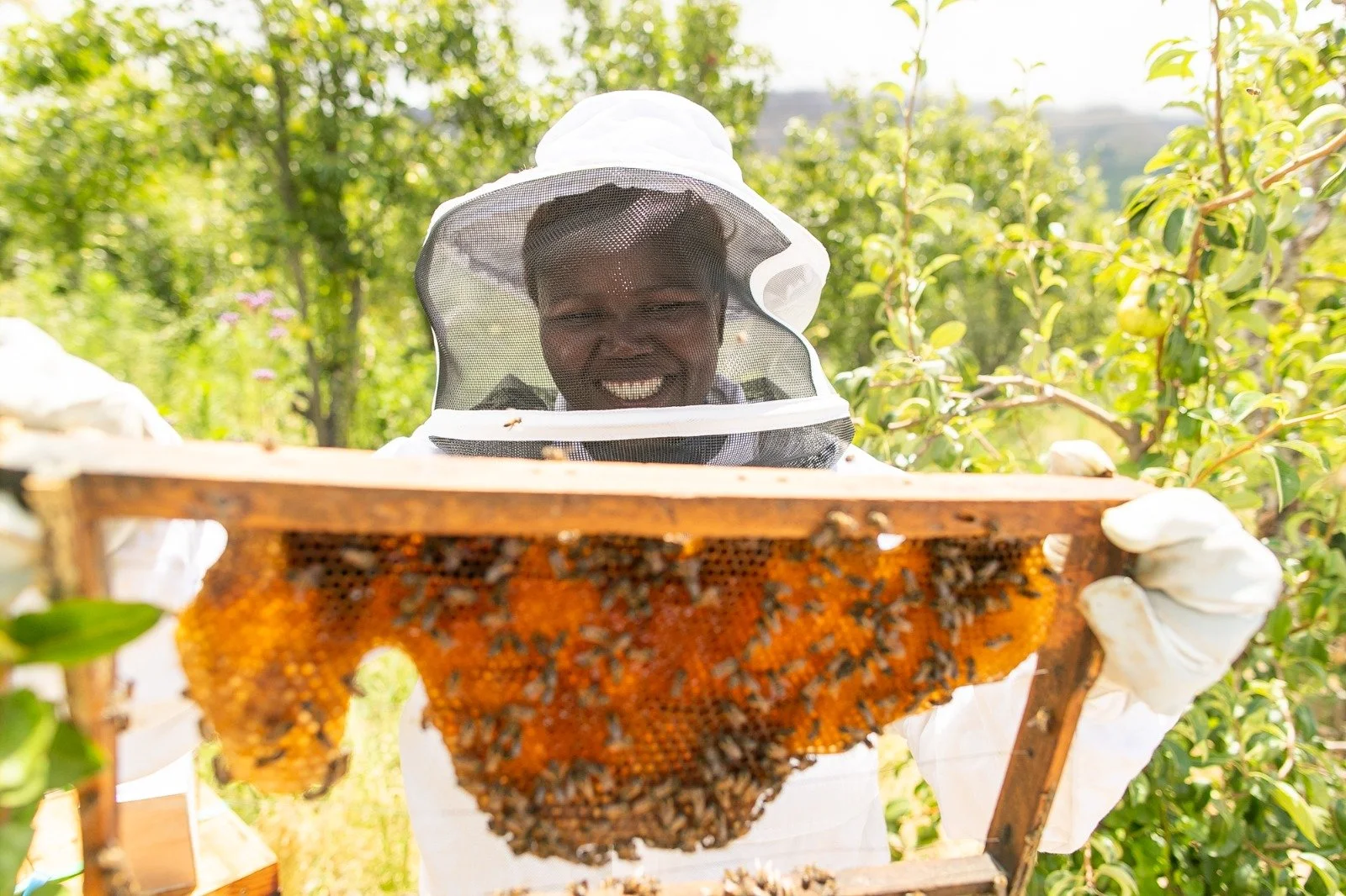 Ubuntu Bee Keeping Initiative