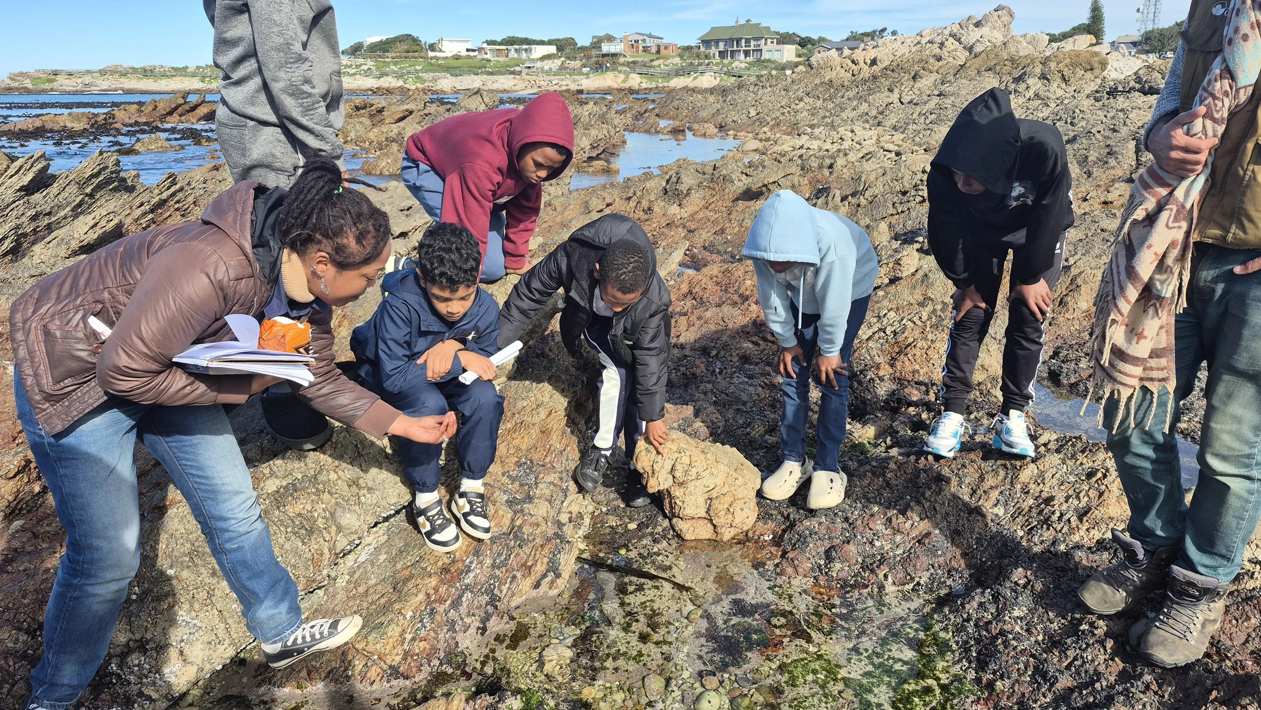 Marine Rocky Shores