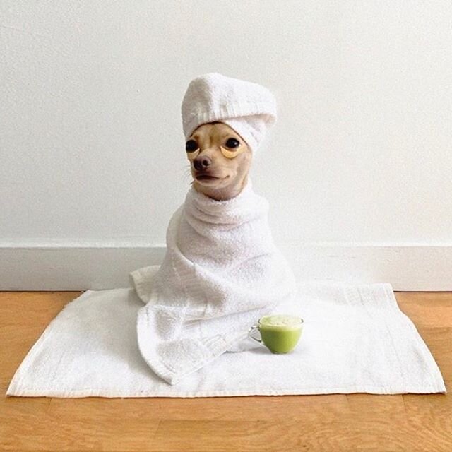 If you&rsquo;re not going to take care of yourself, then who is? 🧖&zwj;♀️ 🧖&zwj;♂️ 📷: @boobie_billie