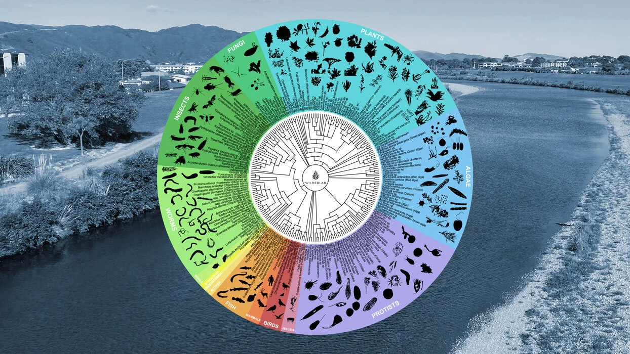 Wilderlab helps monitor the health of Te Awakairangi Hutt River