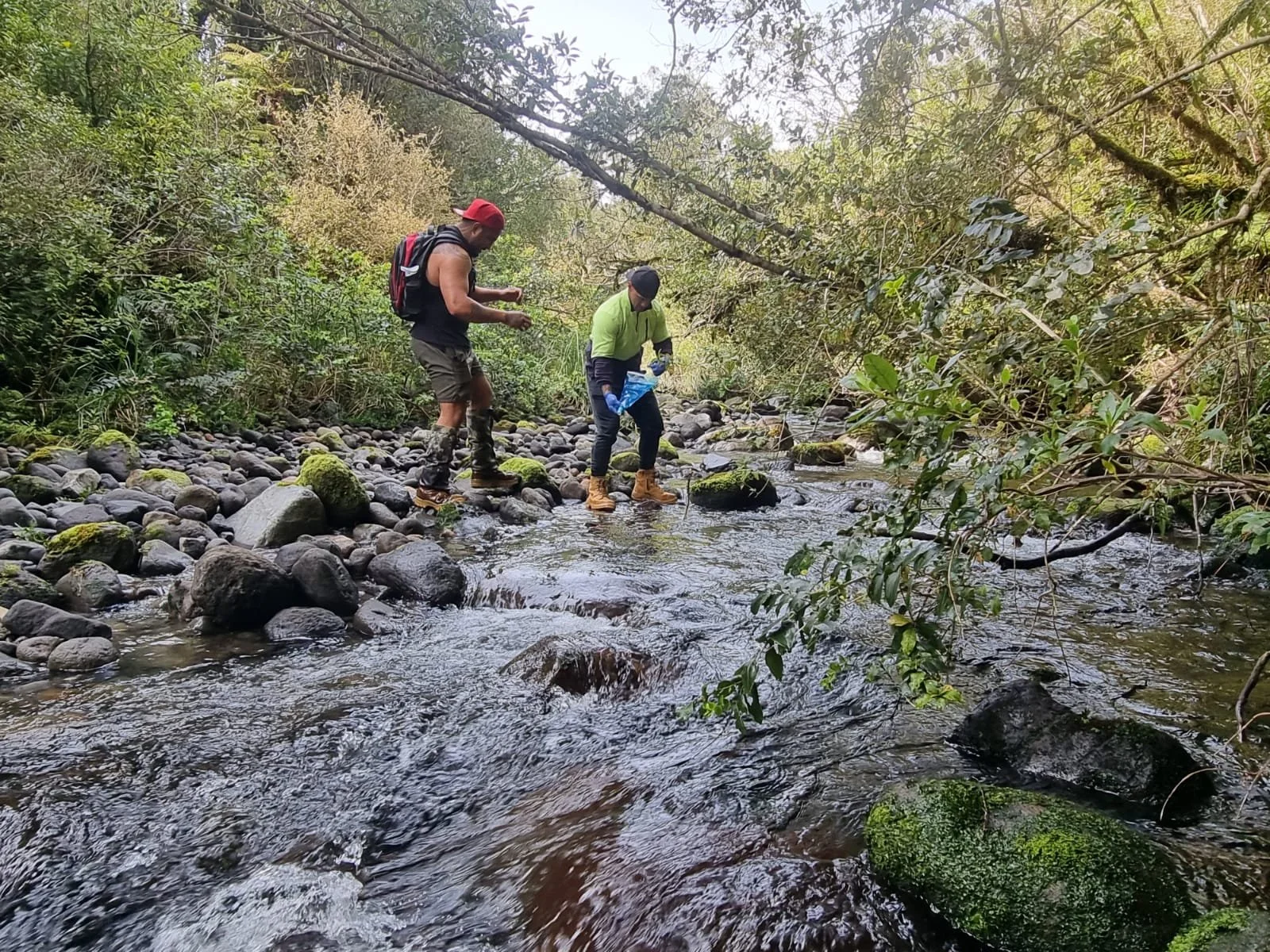 Fishing for goats around Te Papakura o Taranaki