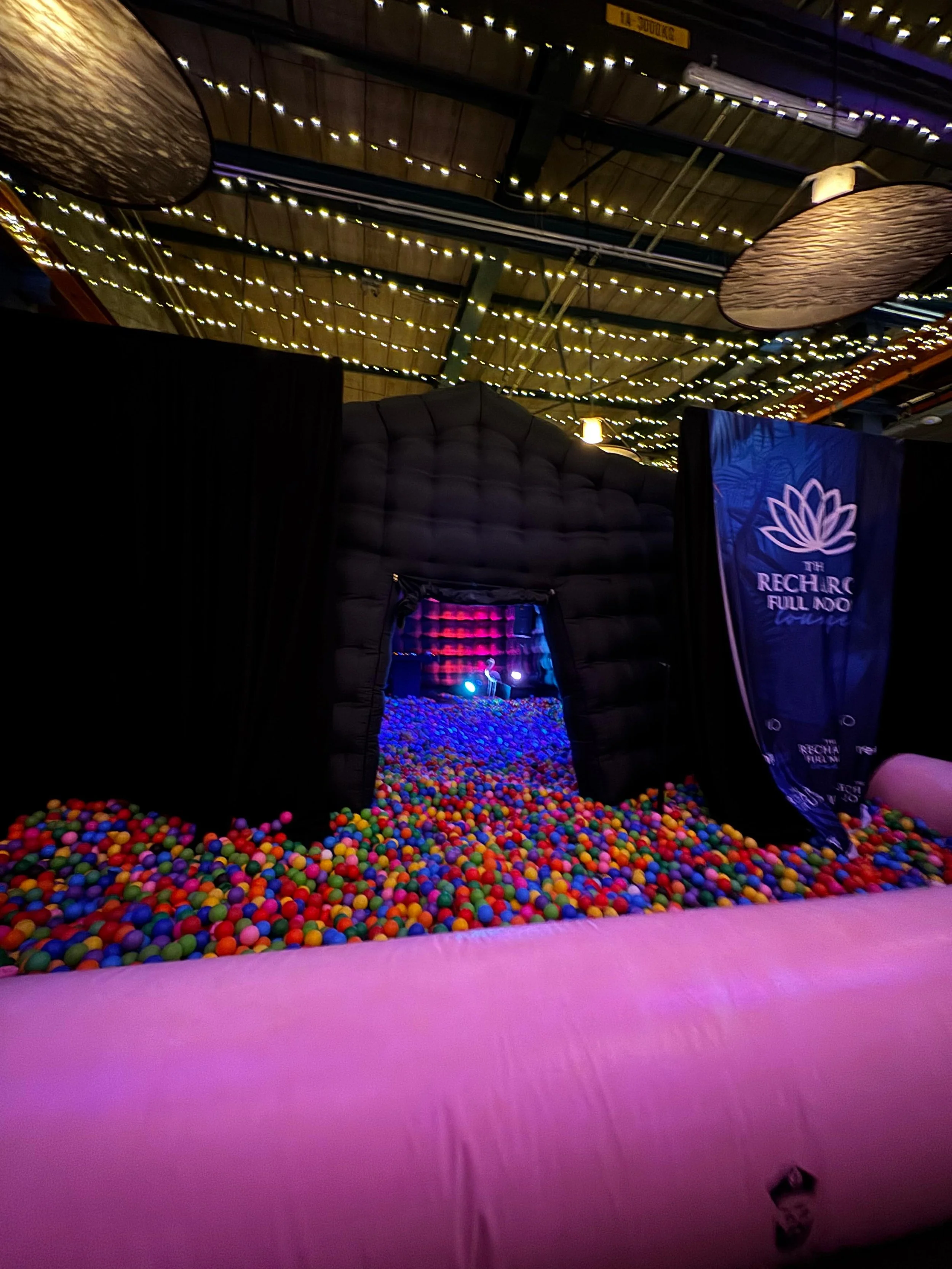 WhatsApp Image 2026-02-17 at 13.31.01.jpeg