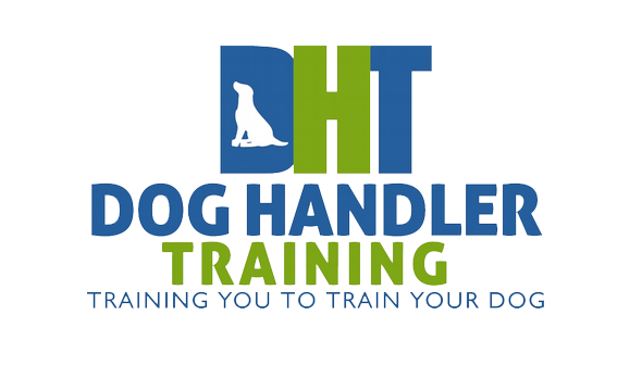 doghandler.png