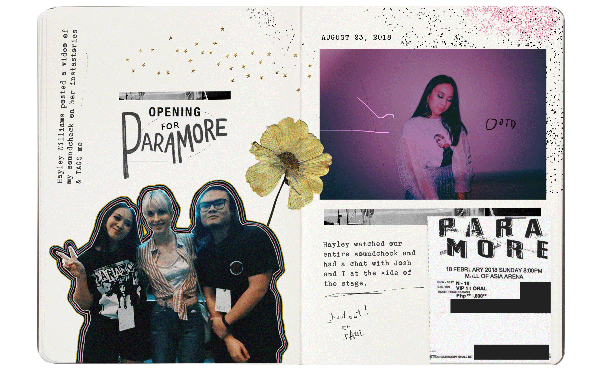 MyDiary_Paramore.png