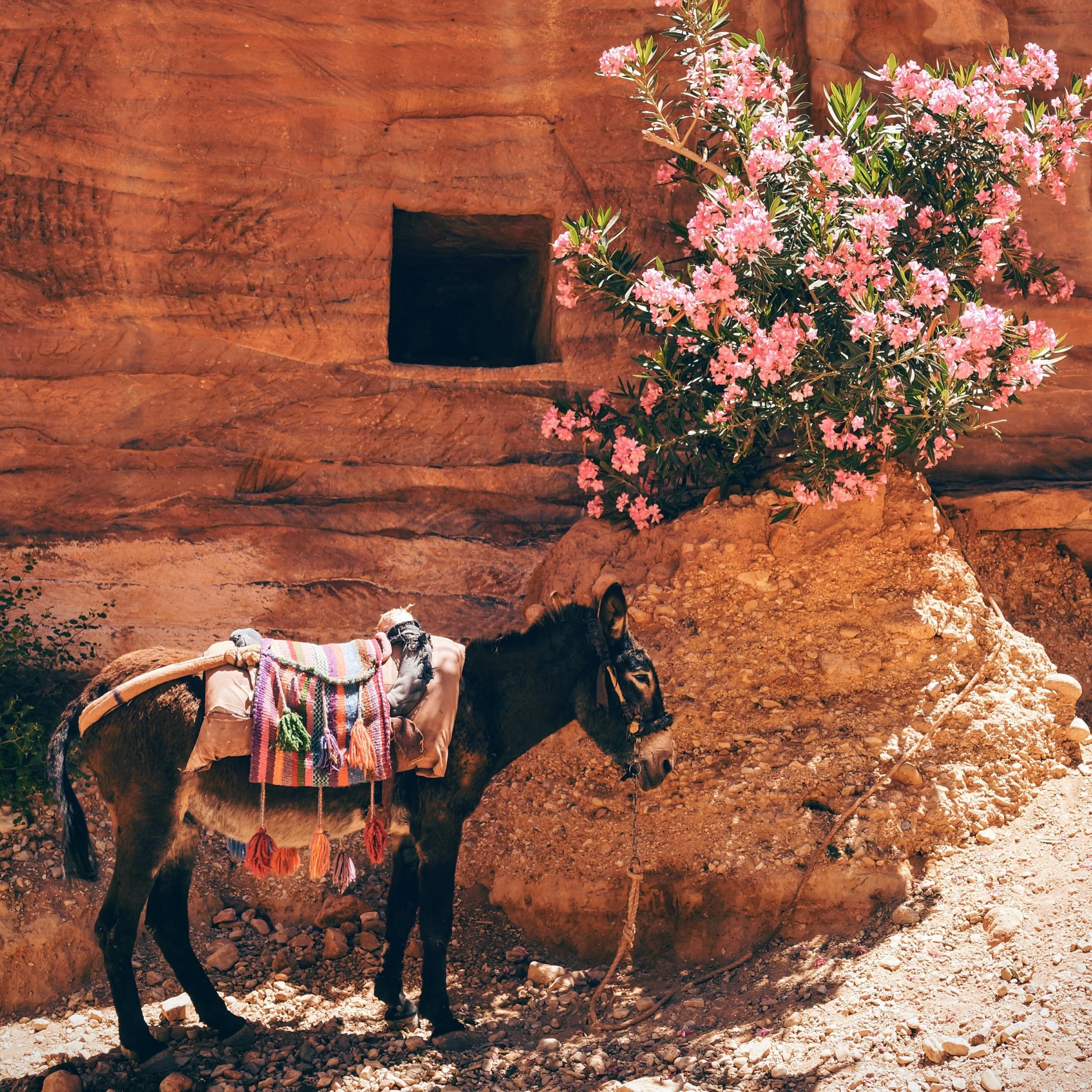 daniel-burka-rHa1WvOywjw-unsplash.jpg