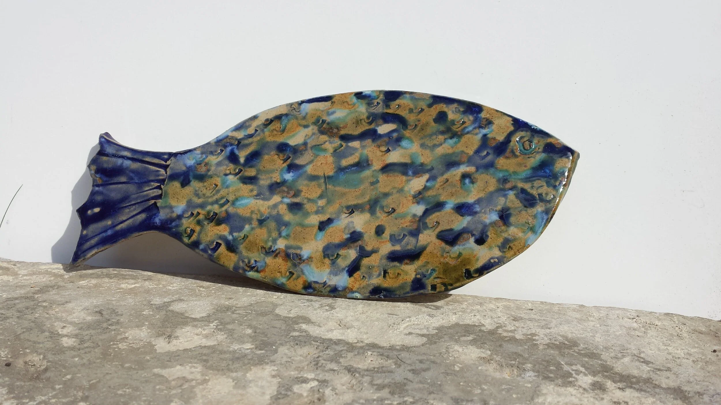 large round fish - sea series