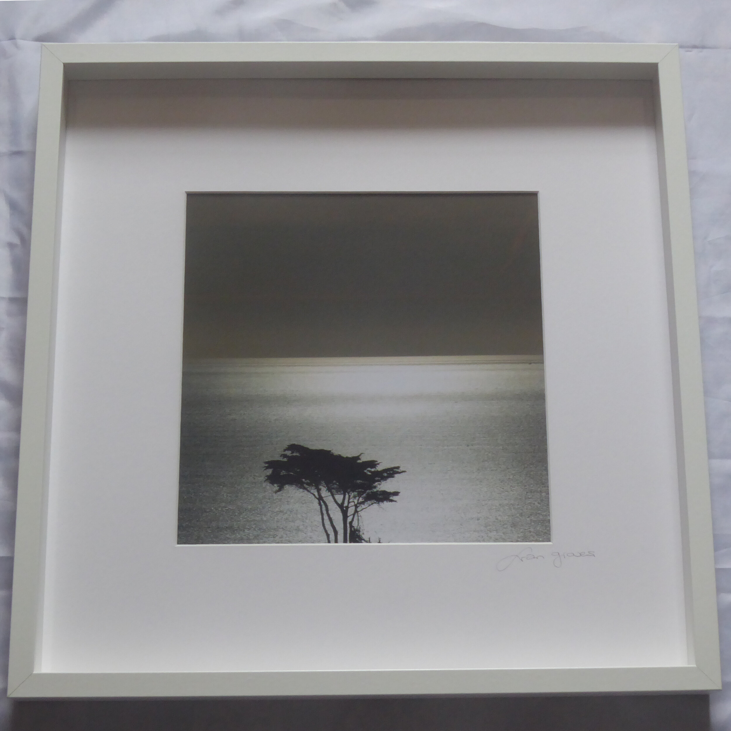 Silhouetted tree and the Sea