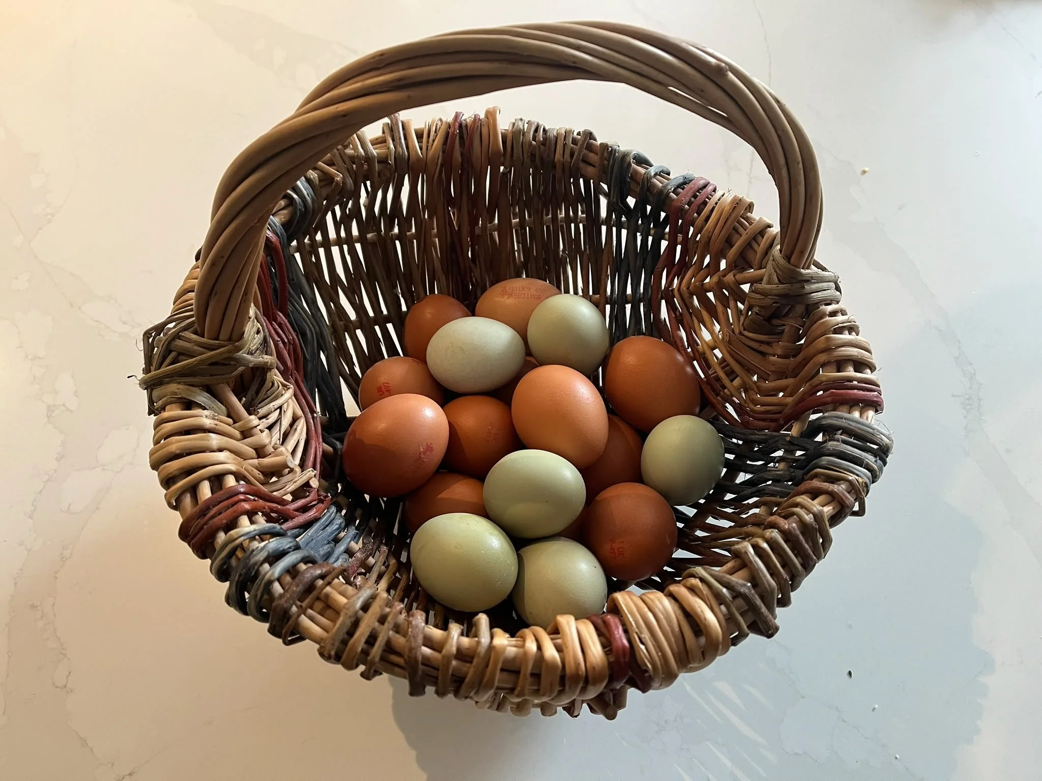 Egga Harvest Basket.jpg