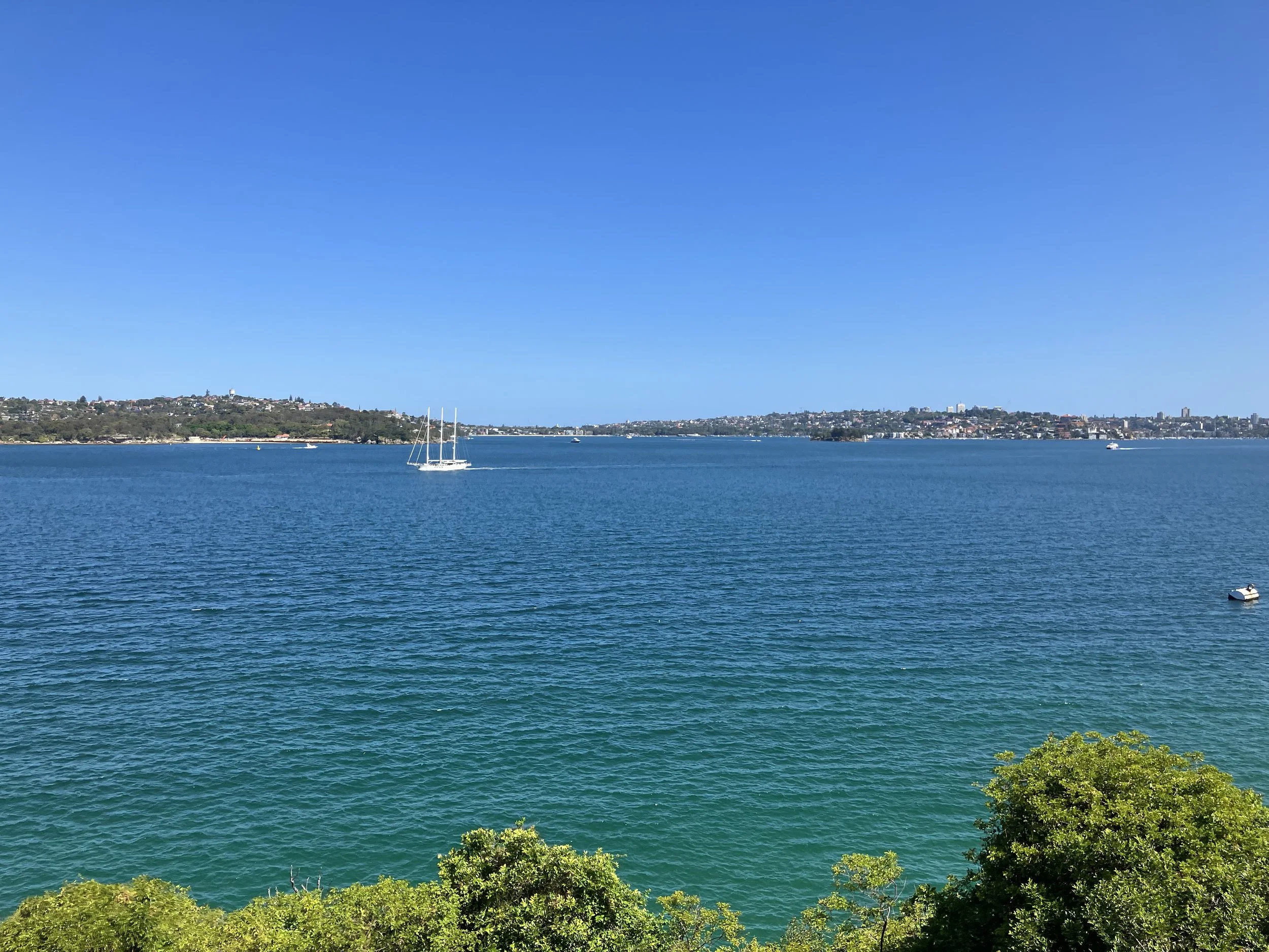 A picture of the view from the CHPA conference venue on to Sydney Harbour