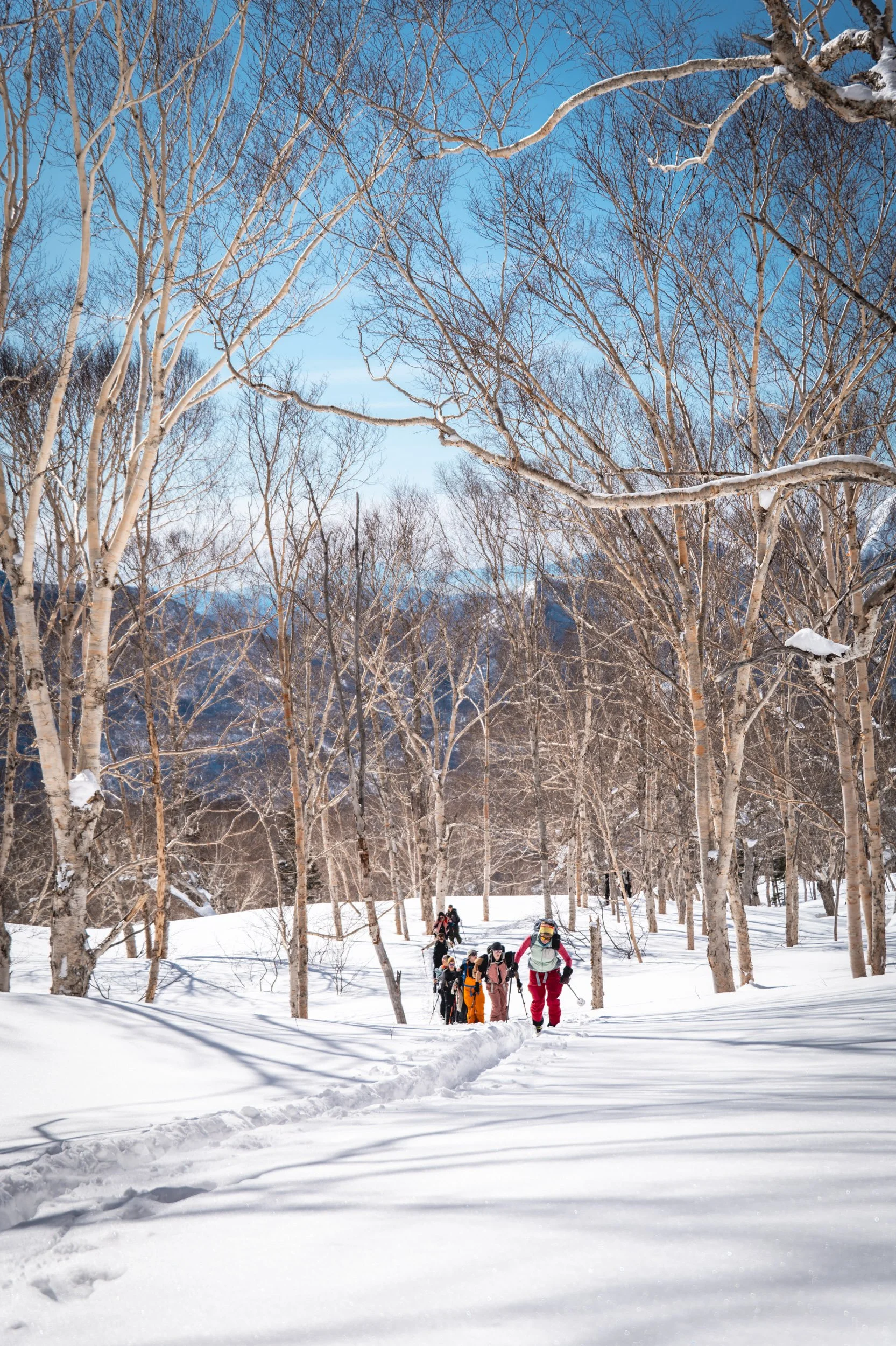 Womens Tour-235.JPEG