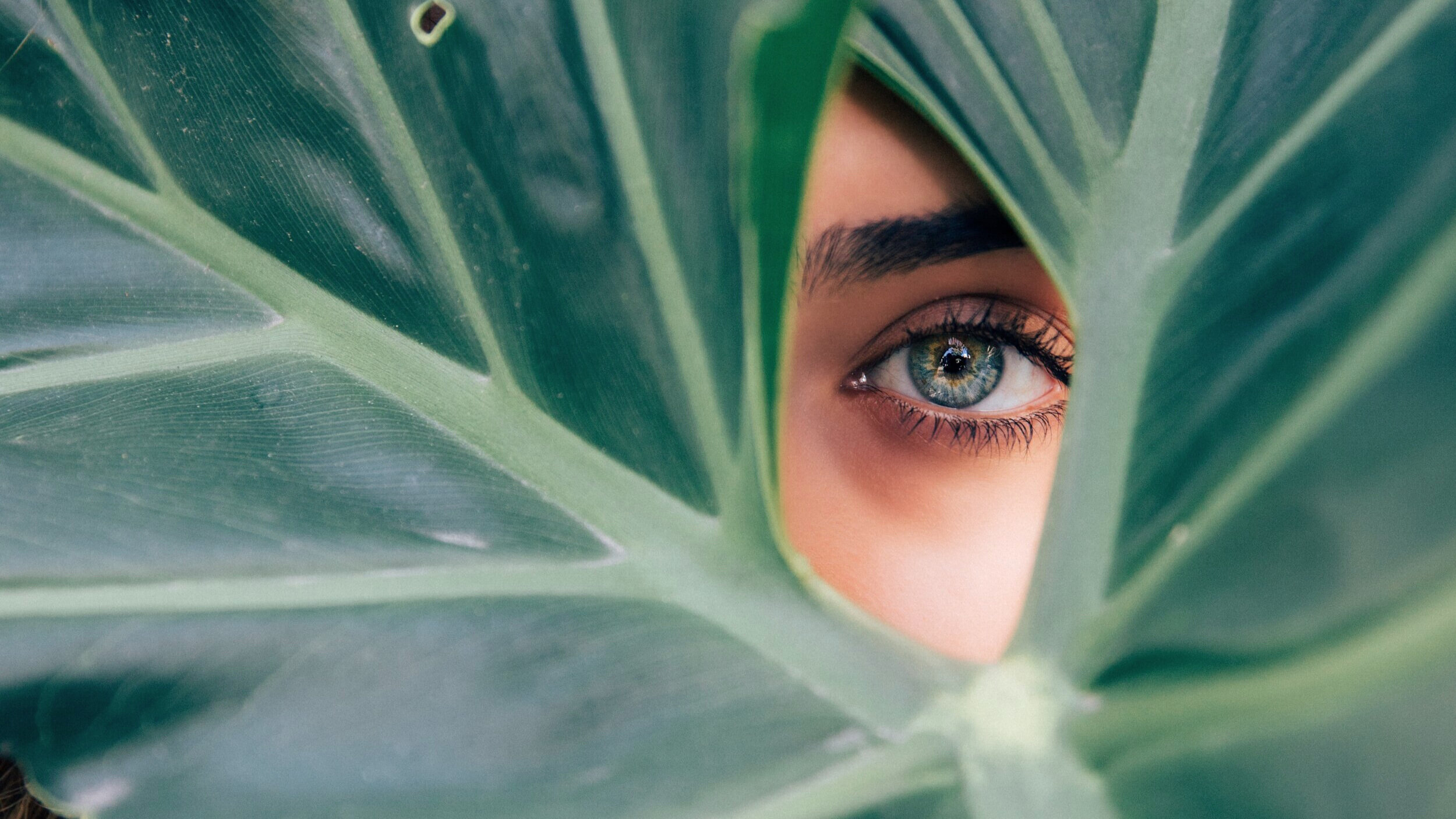 Image by Drew Graham
