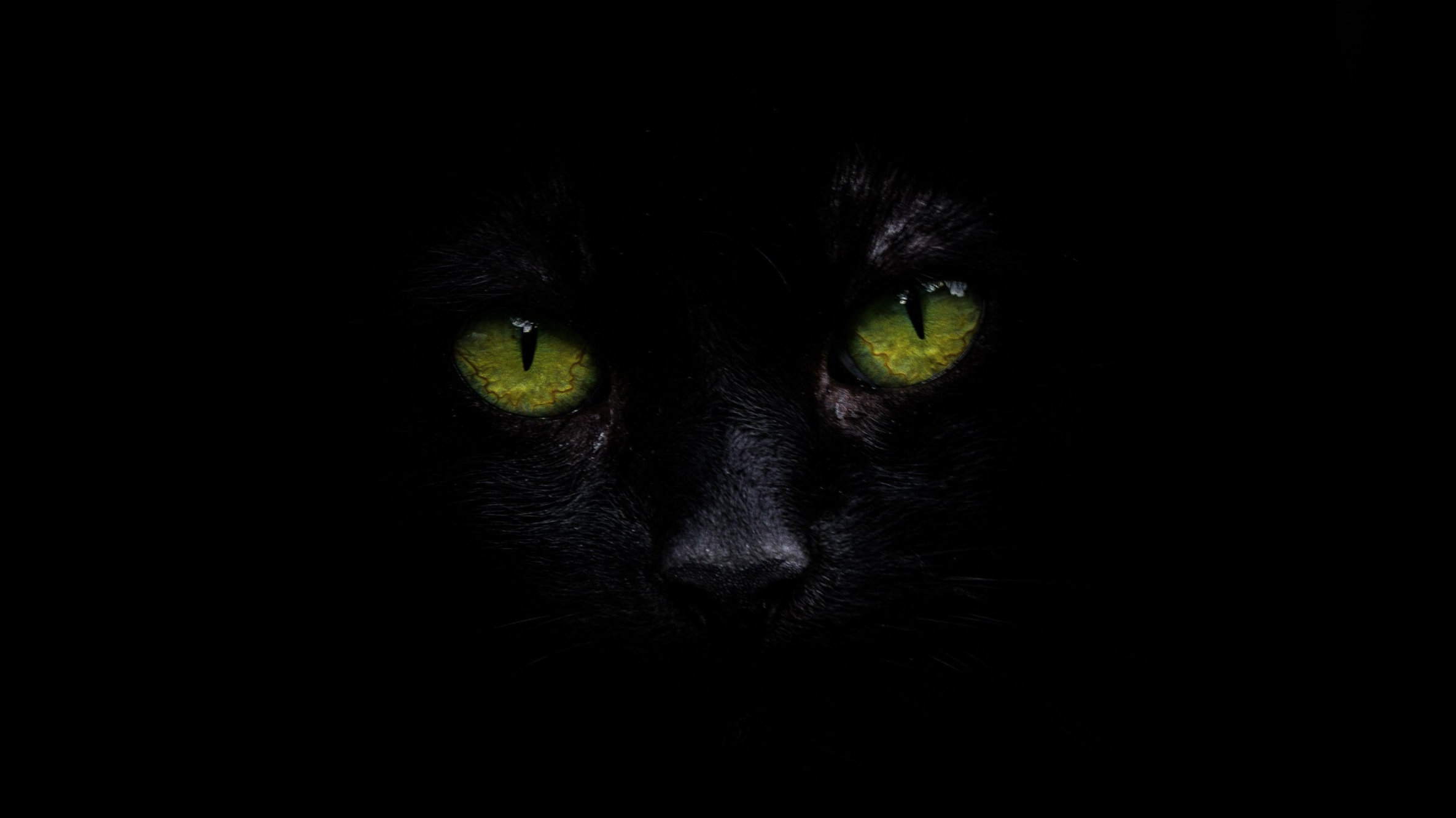Image by Ak N Cakiner