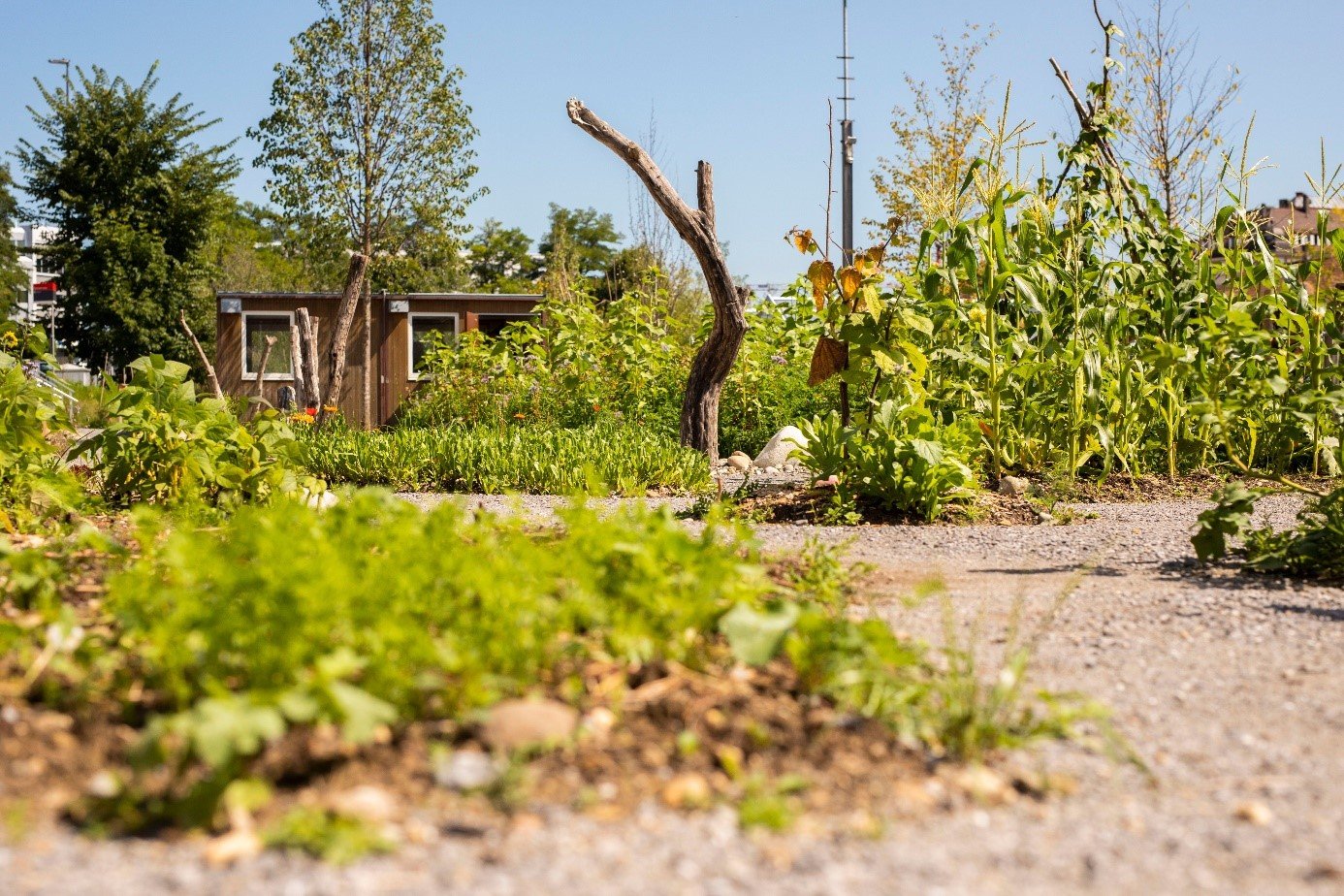 Garten_am_Bach_2.jpg