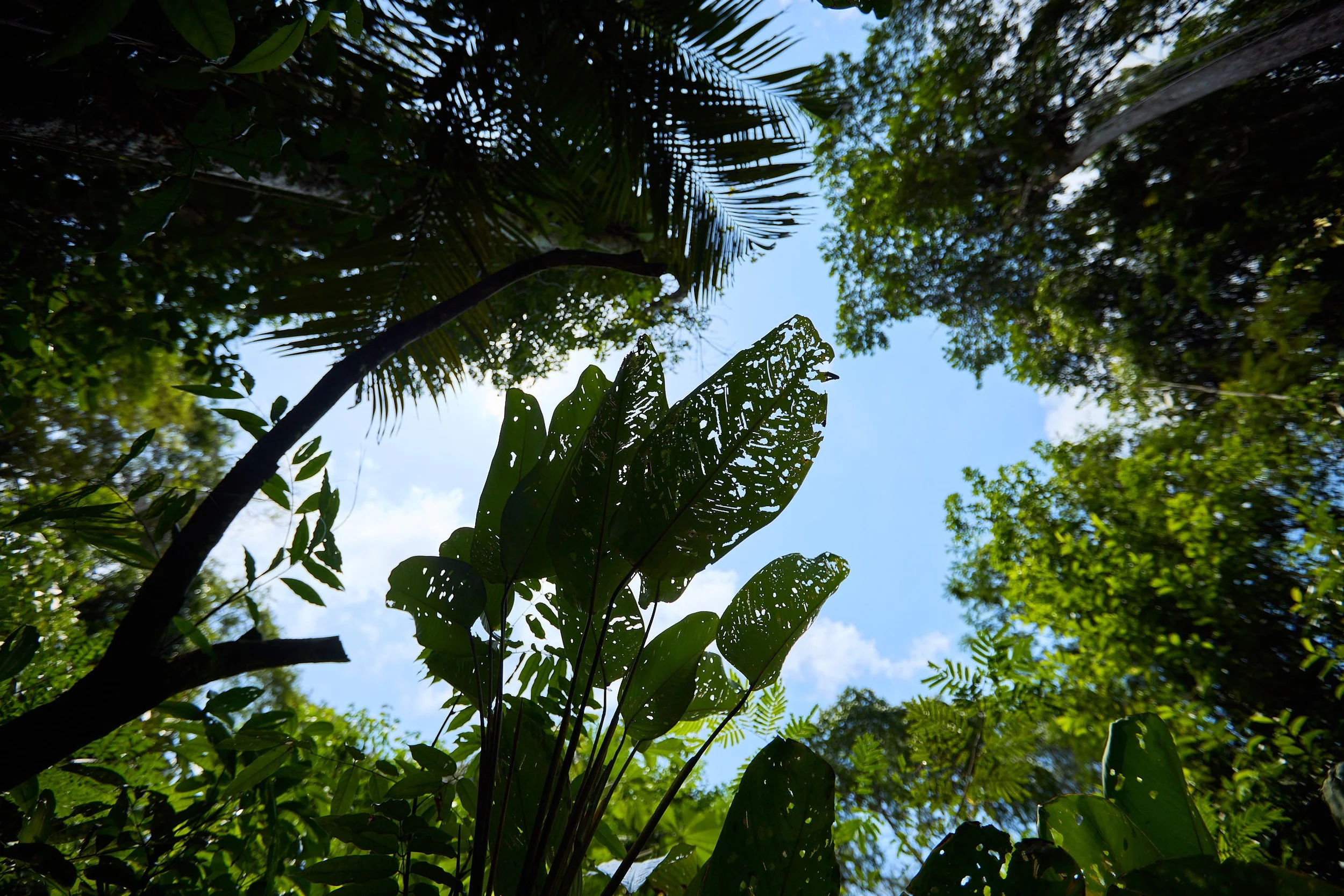 IPOW FLOW_BELEM DAY 03_102.jpg